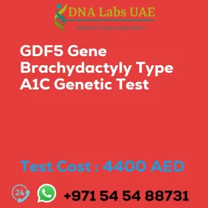 GDF5 Gene Brachydactyly Type A1C Genetic Test sale cost 4400 AED