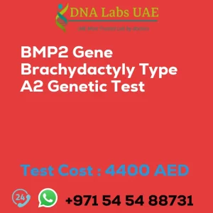 BMP2 Gene Brachydactyly Type A2 Genetic Test sale cost 4400 AED