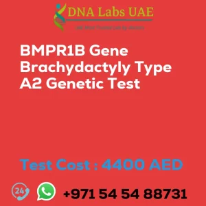 BMPR1B Gene Brachydactyly Type A2 Genetic Test sale cost 4400 AED