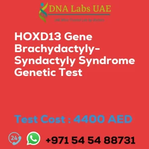 HOXD13 Gene Brachydactyly-Syndactyly Syndrome Genetic Test sale cost 4400 AED