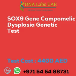 SOX9 Gene Campomelic Dysplasia Genetic Test sale cost 4400 AED