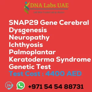 SNAP29 Gene Cerebral Dysgenesis Neuropathy Ichthyosis Palmoplantar Keratoderma Syndrome Genetic Test sale cost 4400 AED