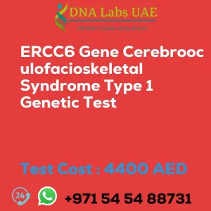 ERCC6 Gene Cerebrooculofacioskeletal Syndrome Type 1 Genetic Test sale cost 4400 AED