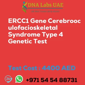 ERCC1 Gene Cerebrooculofacioskeletal Syndrome Type 4 Genetic Test sale cost 4400 AED