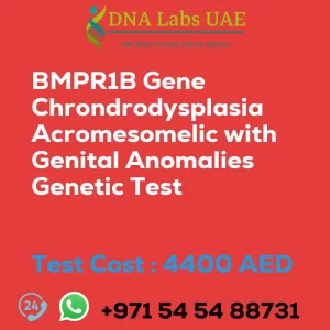 BMPR1B Gene Chrondrodysplasia Acromesomelic with Genital Anomalies Genetic Test sale cost 4400 AED