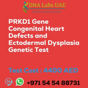 PRKD1 Gene Congenital Heart Defects and Ectodermal Dysplasia Genetic Test sale cost 4400 AED