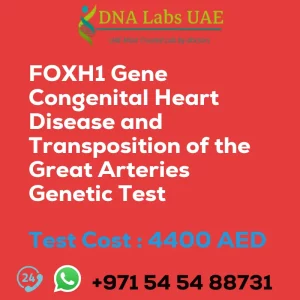 FOXH1 Gene Congenital Heart Disease and Transposition of the Great Arteries Genetic Test sale cost 4400 AED