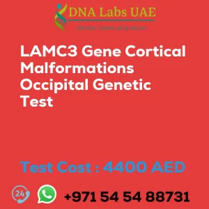 LAMC3 Gene Cortical Malformations Occipital Genetic Test sale cost 4400 AED