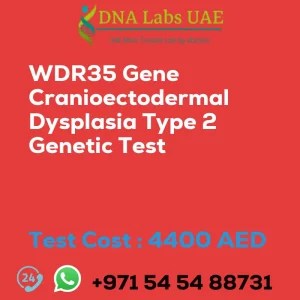 WDR35 Gene Cranioectodermal Dysplasia Type 2 Genetic Test sale cost 4400 AED