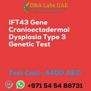 IFT43 Gene Cranioectodermal Dysplasia Type 3 Genetic Test sale cost 4400 AED