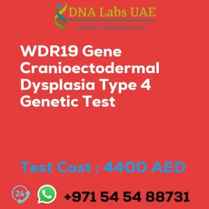 WDR19 Gene Cranioectodermal Dysplasia Type 4 Genetic Test sale cost 4400 AED