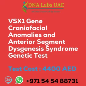 VSX1 Gene Craniofacial Anomalies and Anterior Segment Dysgenesis Syndrome Genetic Test sale cost 4400 AED