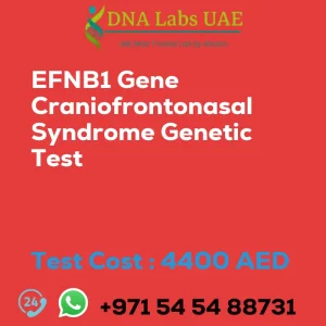 EFNB1 Gene Craniofrontonasal Syndrome Genetic Test sale cost 4400 AED