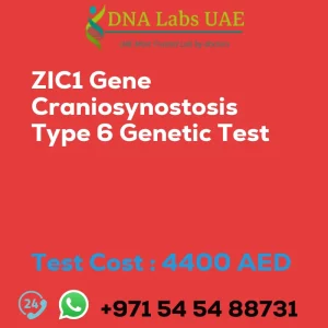 ZIC1 Gene Craniosynostosis Type 6 Genetic Test sale cost 4400 AED