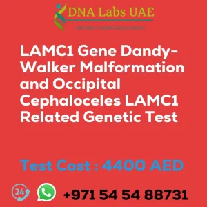 LAMC1 Gene Dandy-Walker Malformation and Occipital Cephaloceles LAMC1 Related Genetic Test sale cost 4400 AED