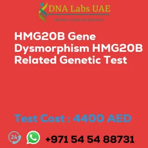 HMG20B Gene Dysmorphism HMG20B Related Genetic Test sale cost 4400 AED