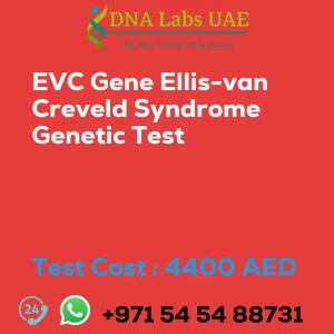 EVC Gene Ellis-van Creveld Syndrome Genetic Test sale cost 4400 AED