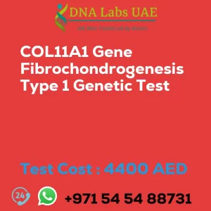 COL11A1 Gene Fibrochondrogenesis Type 1 Genetic Test sale cost 4400 AED