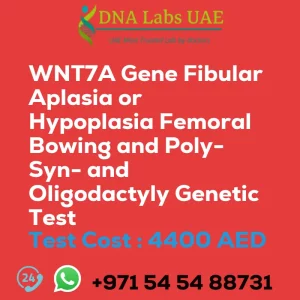WNT7A Gene Fibular Aplasia or Hypoplasia Femoral Bowing and Poly- Syn- and Oligodactyly Genetic Test sale cost 4400 AED