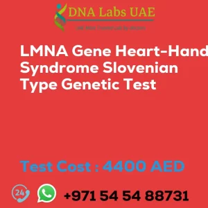 LMNA Gene Heart-Hand Syndrome Slovenian Type Genetic Test sale cost 4400 AED