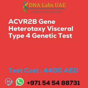 ACVR2B Gene Heterotaxy Visceral Type 4 Genetic Test sale cost 4400 AED