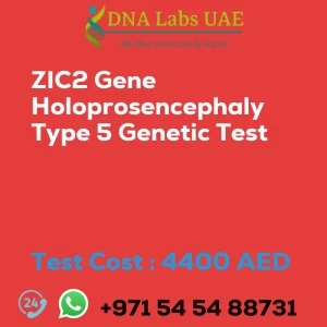 ZIC2 Gene Holoprosencephaly Type 5 Genetic Test sale cost 4400 AED