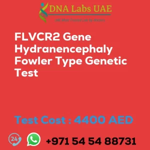 FLVCR2 Gene Hydranencephaly Fowler Type Genetic Test sale cost 4400 AED