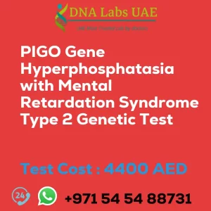 PIGO Gene Hyperphosphatasia with Mental Retardation Syndrome Type 2 Genetic Test sale cost 4400 AED