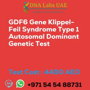 GDF6 Gene Klippel-Feil Syndrome Type 1 Autosomal Dominant Genetic Test sale cost 4400 AED