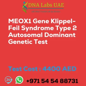 MEOX1 Gene Klippel-Feil Syndrome Type 2 Autosomal Dominant Genetic Test sale cost 4400 AED