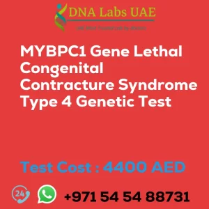 MYBPC1 Gene Lethal Congenital Contracture Syndrome Type 4 Genetic Test sale cost 4400 AED