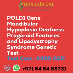 POLD1 Gene Mandibular Hypoplasia Deafness Progeroid Features and Lipodystrophy Syndrome Genetic Test sale cost 4400 AED