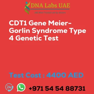 CDT1 Gene Meier-Gorlin Syndrome Type 4 Genetic Test sale cost 4400 AED