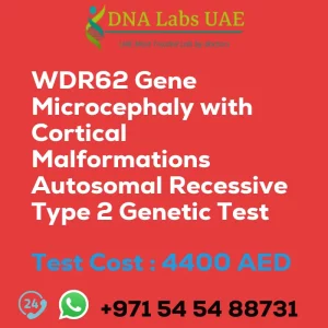WDR62 Gene Microcephaly with Cortical Malformations Autosomal Recessive Type 2 Genetic Test sale cost 4400 AED