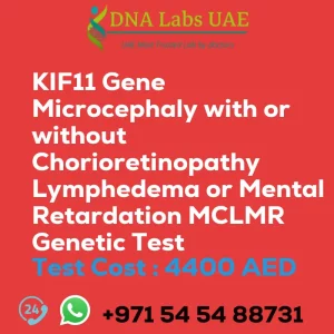 KIF11 Gene Microcephaly with or without Chorioretinopathy Lymphedema or Mental Retardation MCLMR Genetic Test sale cost 4400 AED