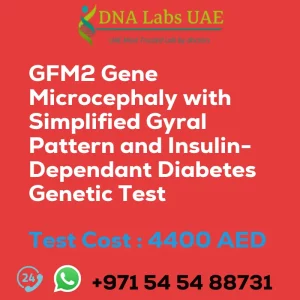 GFM2 Gene Microcephaly with Simplified Gyral Pattern and Insulin-Dependant Diabetes Genetic Test sale cost 4400 AED