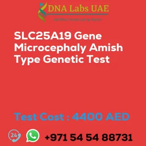 SLC25A19 Gene Microcephaly Amish Type Genetic Test sale cost 4400 AED