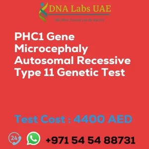 PHC1 Gene Microcephaly Autosomal Recessive Type 11 Genetic Test sale cost 4400 AED