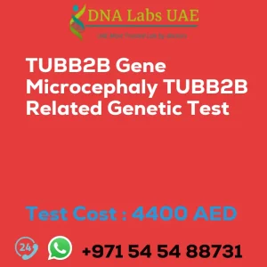 TUBB2B Gene Microcephaly TUBB2B Related Genetic Test sale cost 4400 AED