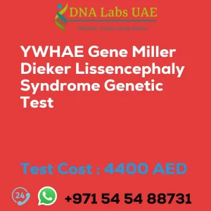 YWHAE Gene Miller Dieker Lissencephaly Syndrome Genetic Test sale cost 4400 AED