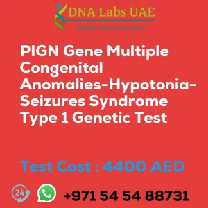 PIGN Gene Multiple Congenital Anomalies-Hypotonia-Seizures Syndrome Type 1 Genetic Test sale cost 4400 AED