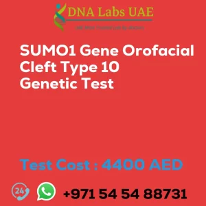 SUMO1 Gene Orofacial Cleft Type 10 Genetic Test sale cost 4400 AED