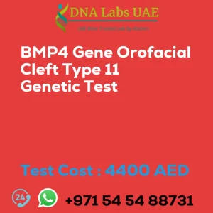 BMP4 Gene Orofacial Cleft Type 11 Genetic Test sale cost 4400 AED