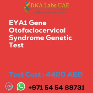 EYA1 Gene Otofaciocervical Syndrome Genetic Test sale cost 4400 AED