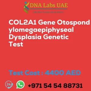 COL2A1 Gene Otospondylomegaepiphyseal Dysplasia Genetic Test sale cost 4400 AED