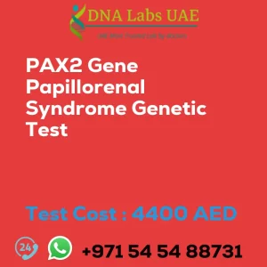 PAX2 Gene Papillorenal Syndrome Genetic Test sale cost 4400 AED