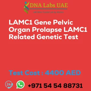 LAMC1 Gene Pelvic Organ Prolapse LAMC1 Related Genetic Test sale cost 4400 AED