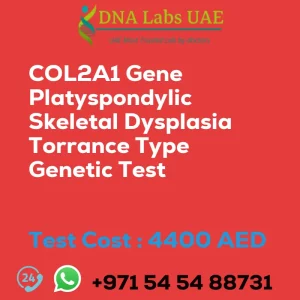 COL2A1 Gene Platyspondylic Skeletal Dysplasia Torrance Type Genetic Test sale cost 4400 AED