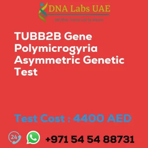 TUBB2B Gene Polymicrogyria Asymmetric Genetic Test sale cost 4400 AED