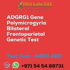 ADGRG1 Gene Polymicrogyria Bilateral Frontoparietal Genetic Test sale cost 4400 AED